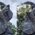 Patung Biawak Karya Seniman Wonosobo Jadi Sorotan karena Mirip Asli