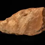 (Foto artefak alat batu tertua di Wallacea, bukti mengejutkan keberadaan hominin 1,5 juta tahun lalu di Sulawesi.)