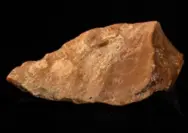 (Foto artefak alat batu tertua di Wallacea, bukti mengejutkan keberadaan hominin 1,5 juta tahun lalu di Sulawesi.)