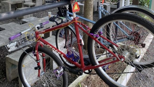 4 Rangka Sepeda yang Diburu Para Pecinta Commuter Bike Kalcer, Ini Alasannya